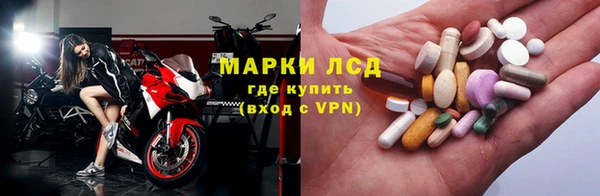 сатива Нефтекумск