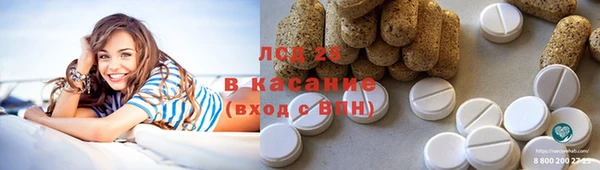 сатива Нефтекумск