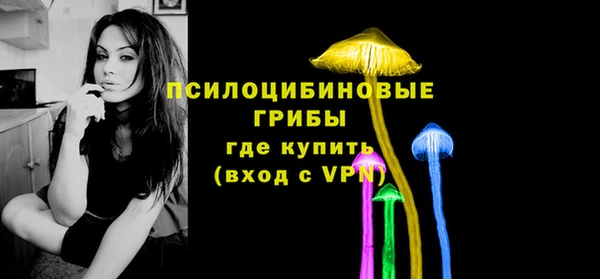 сатива Нефтекумск