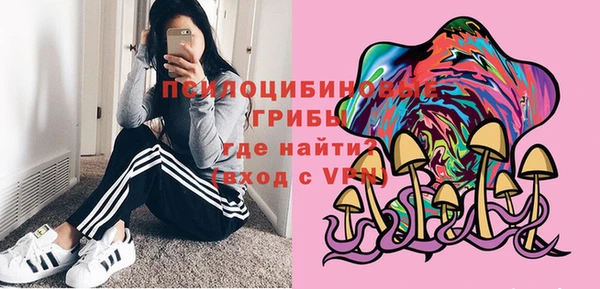 сатива Нефтекумск